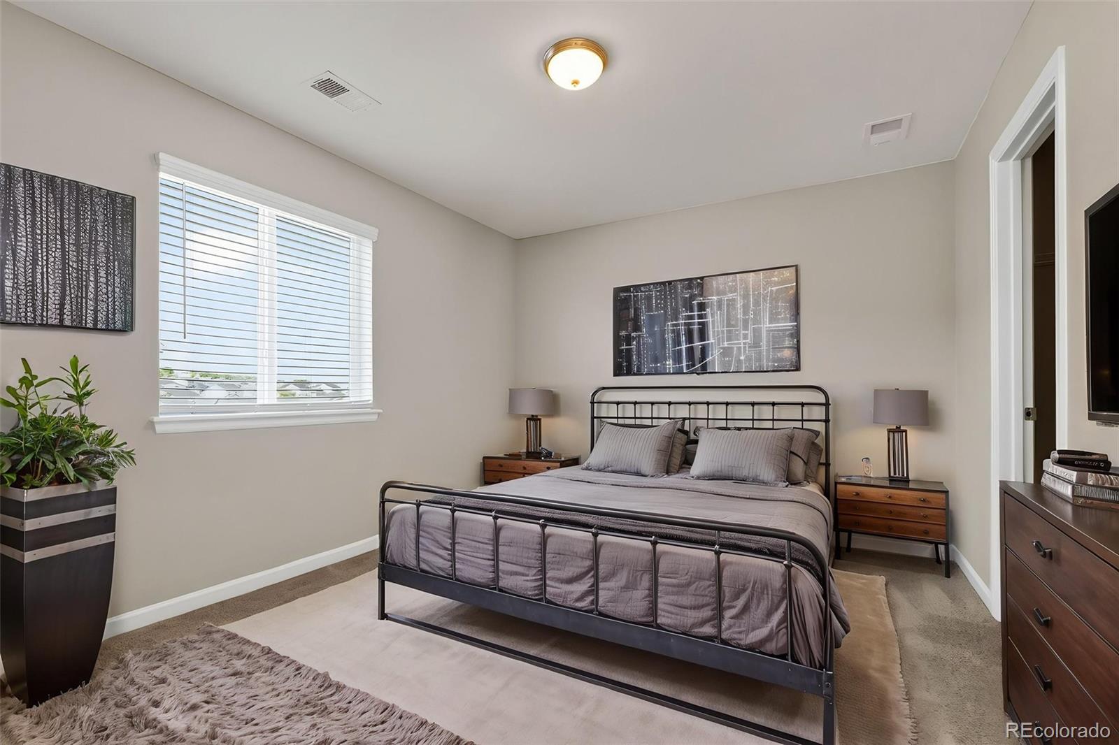MLS Image #29 for 6458  amur court,castle rock, Colorado