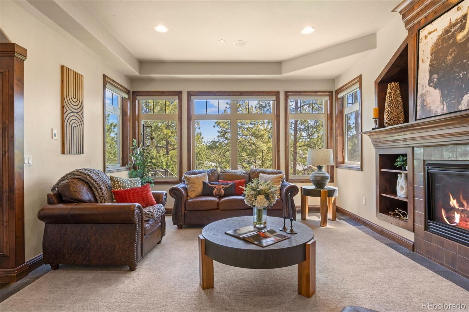 MLS Image #20 for 4604  tierra alta drive,castle rock, Colorado