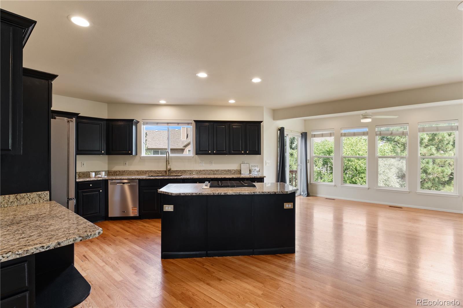 MLS Image #10 for 1136  vista oaks drive,colorado springs, Colorado