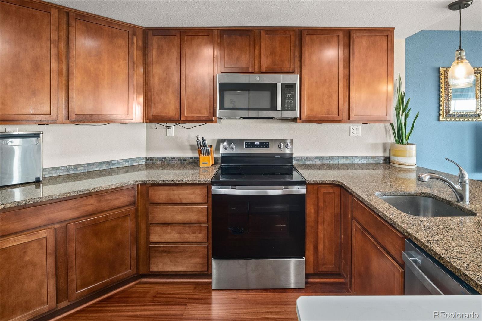 MLS Image #11 for 100  park avenue,denver, Colorado