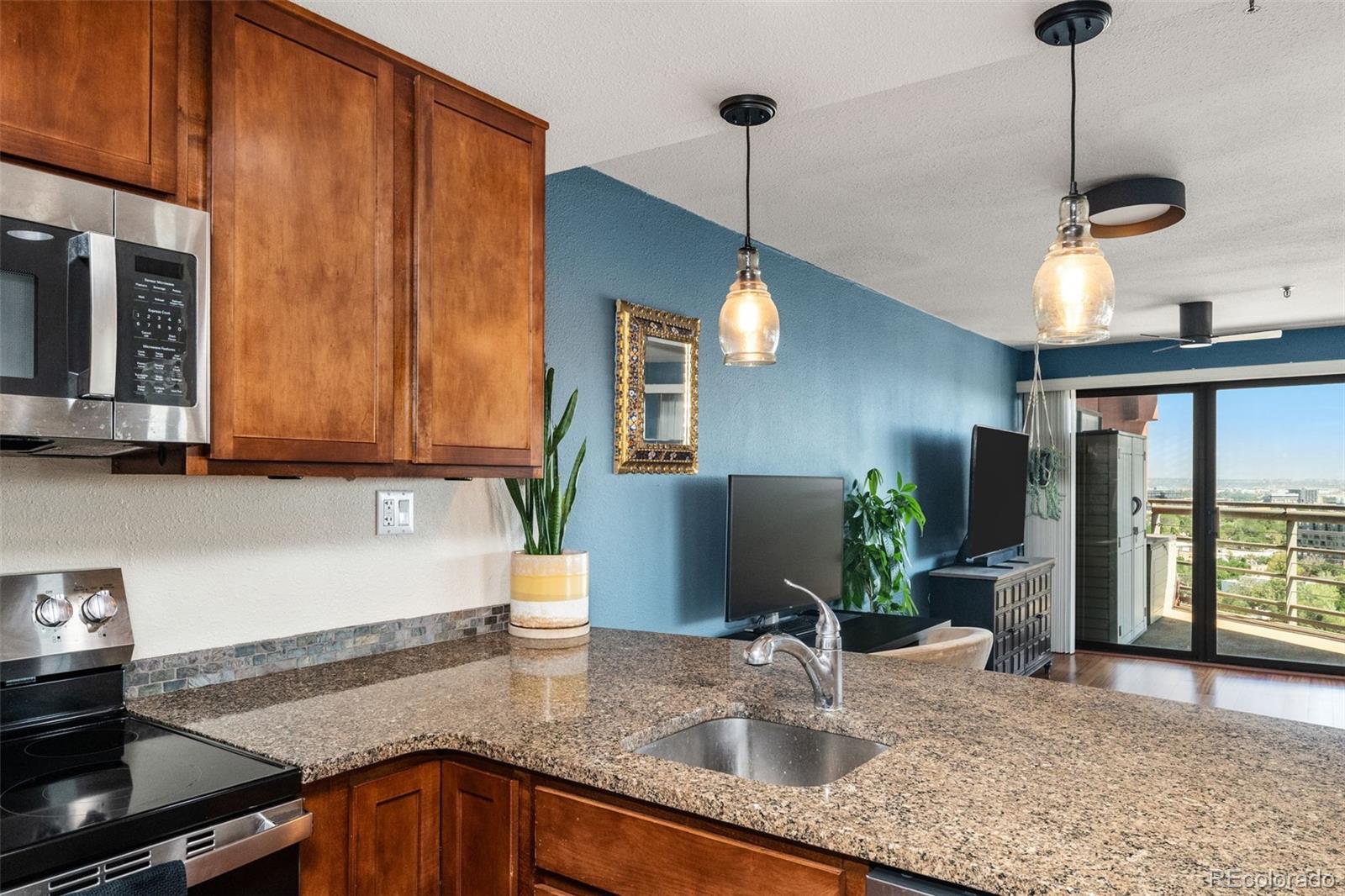 MLS Image #12 for 100  park avenue,denver, Colorado