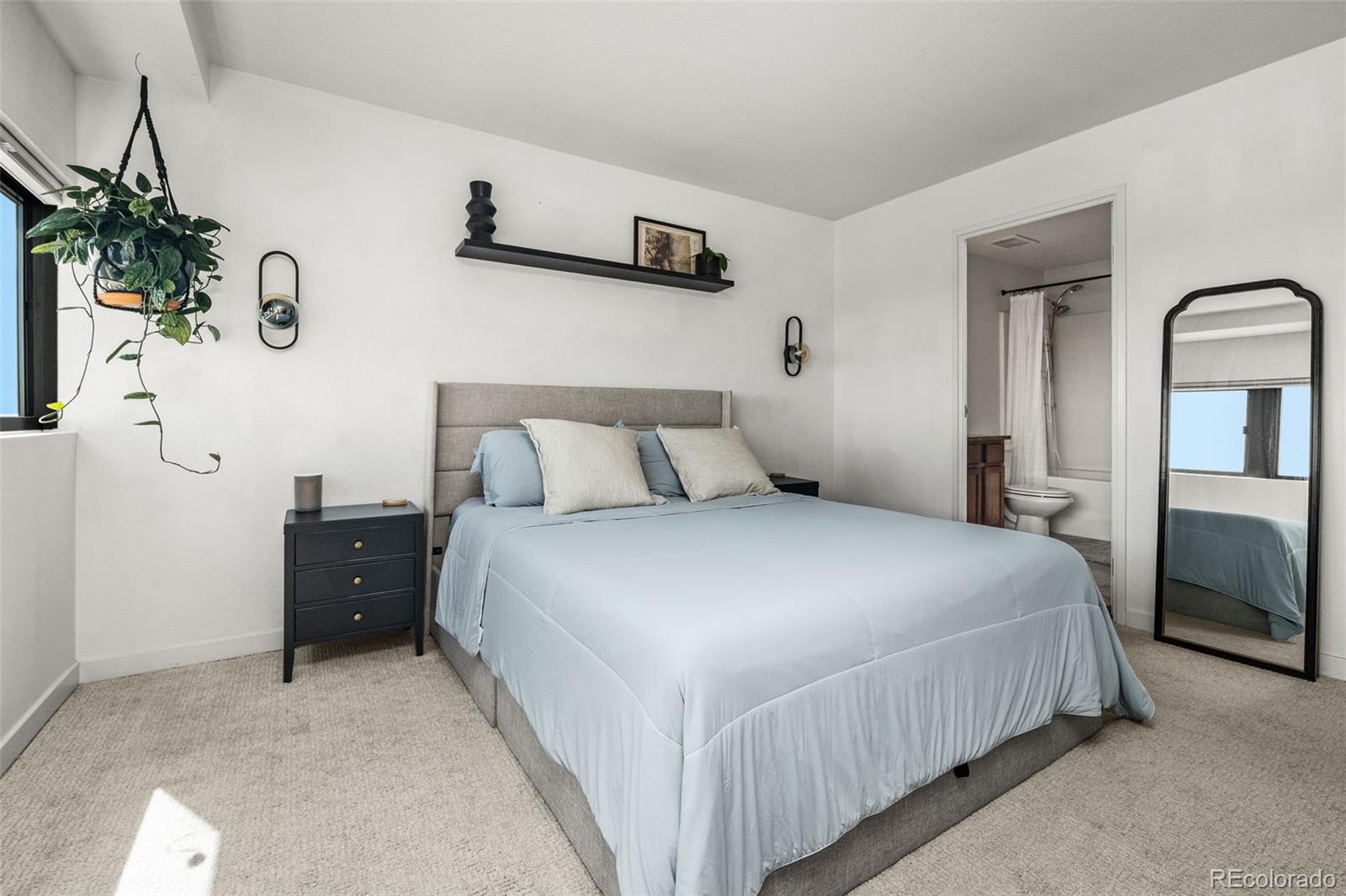 MLS Image #24 for 100  park avenue,denver, Colorado