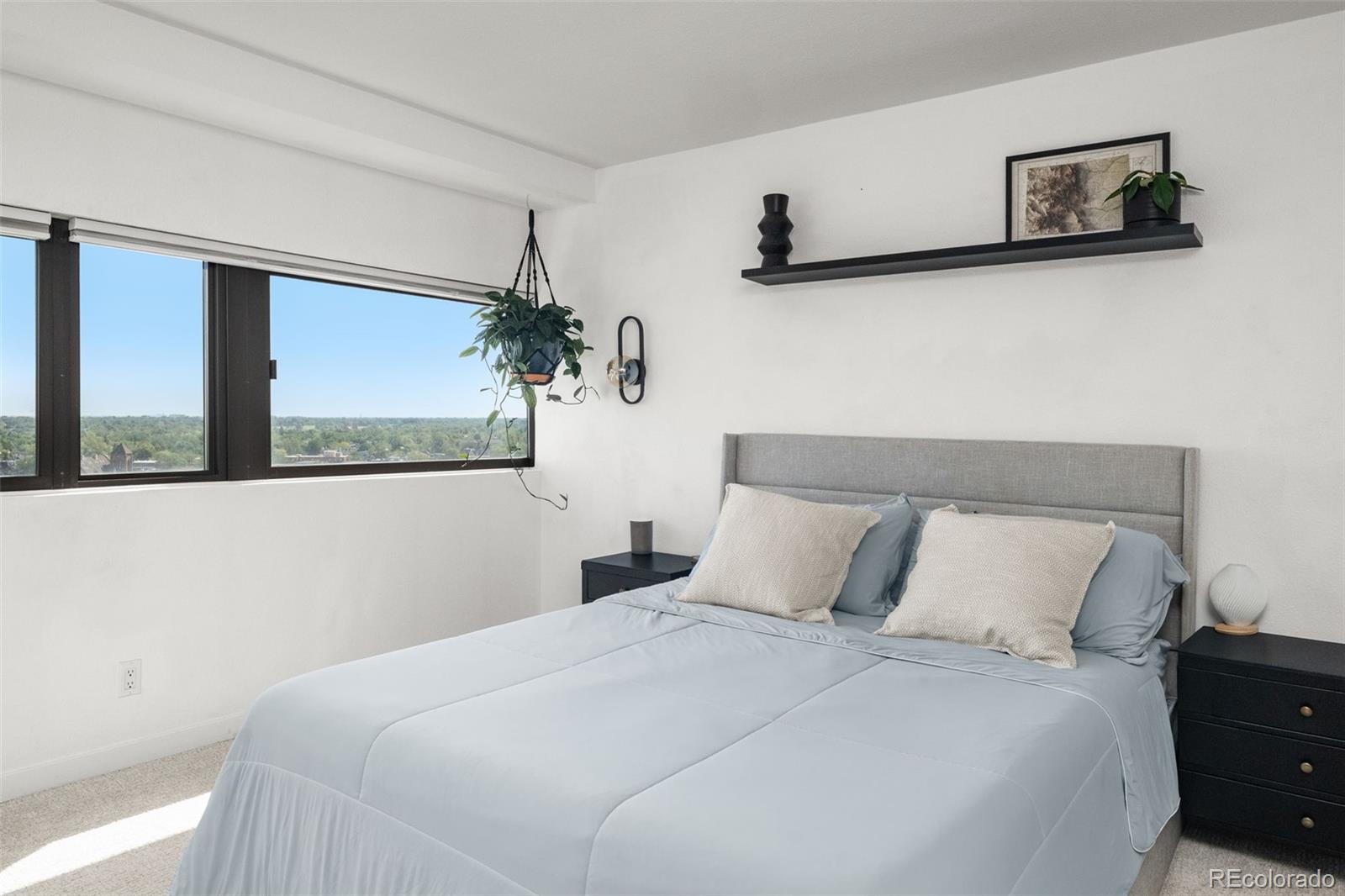 MLS Image #25 for 100  park avenue,denver, Colorado