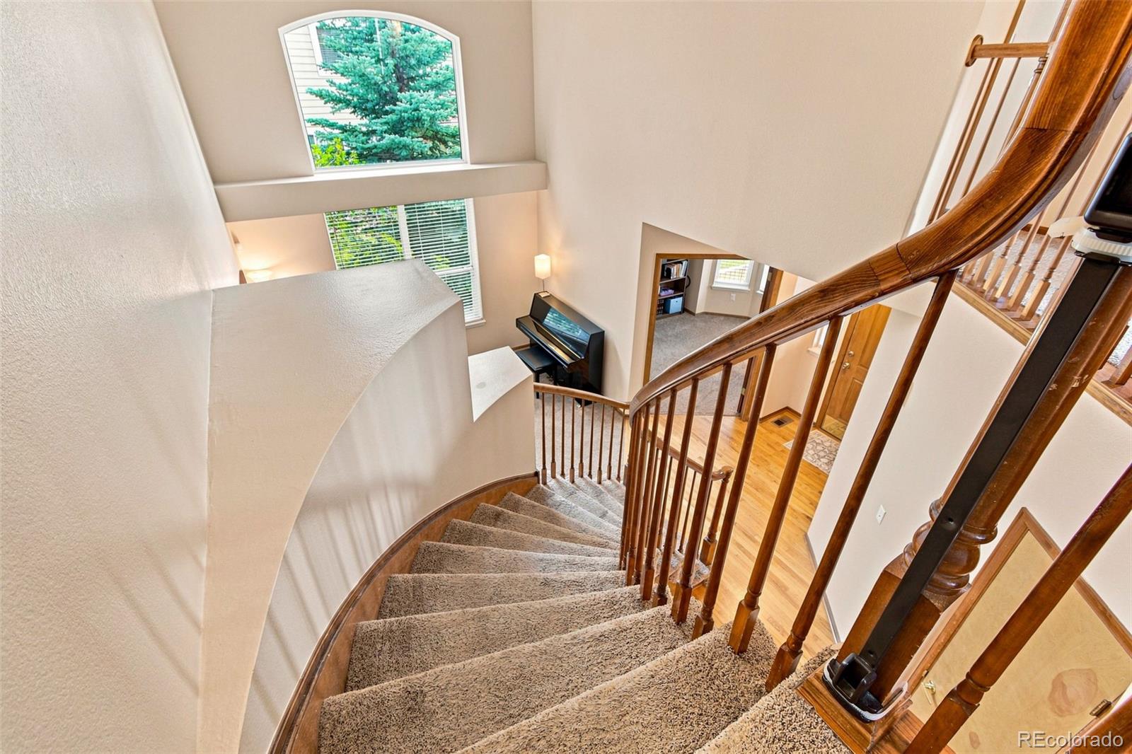 MLS Image #20 for 1504  whitetail drive,castle rock, Colorado