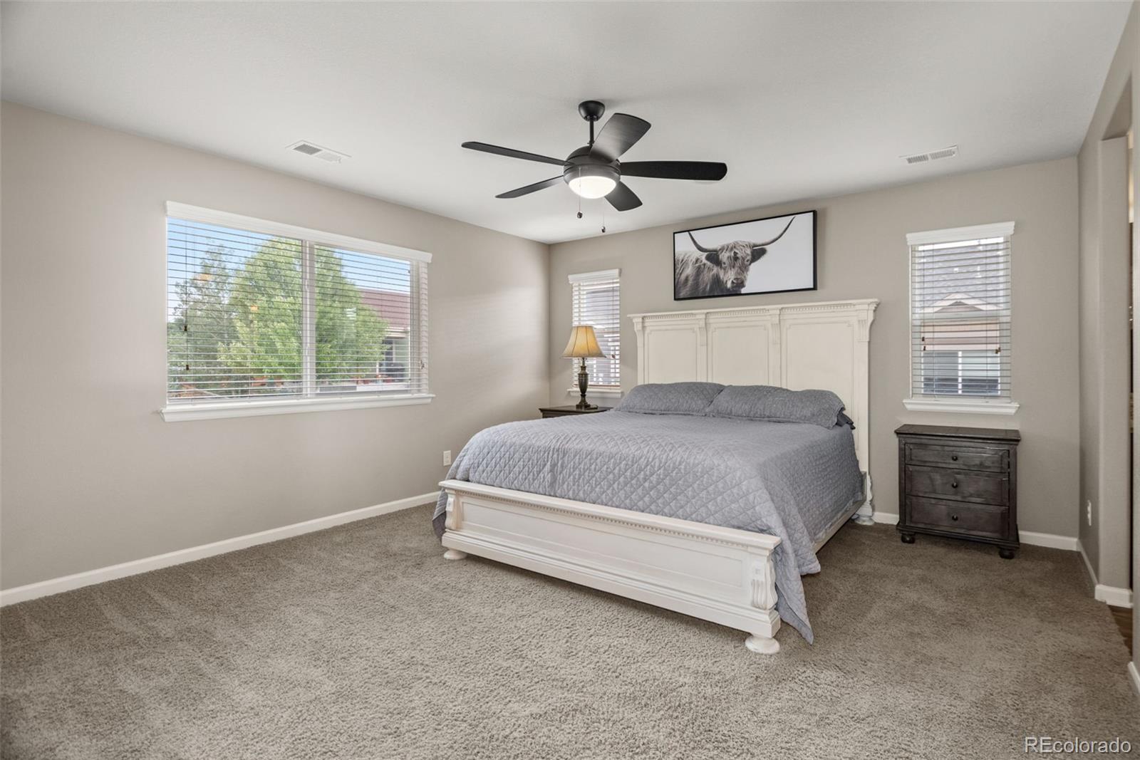 MLS Image #24 for 7159  oasis drive,castle rock, Colorado
