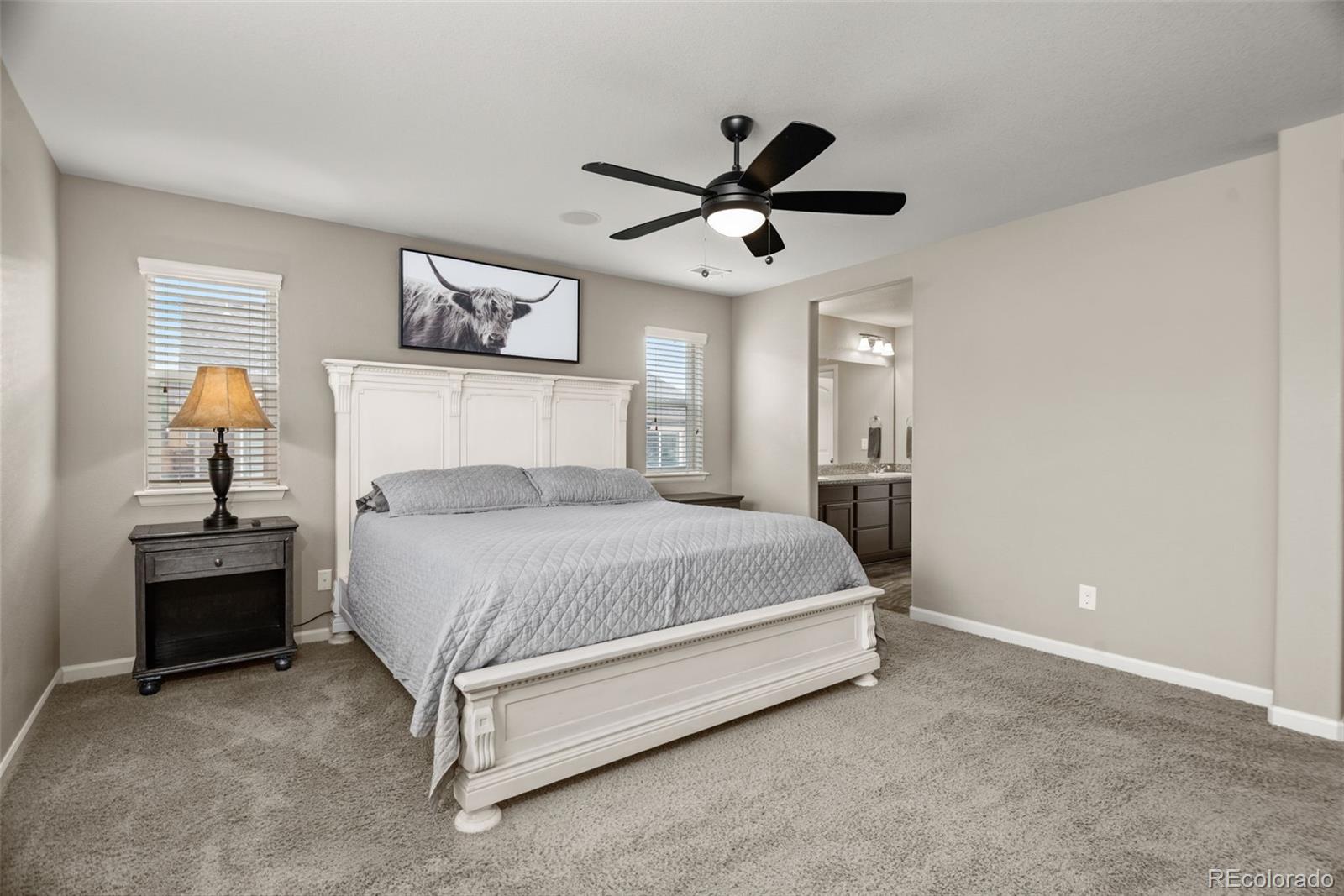 MLS Image #25 for 7159  oasis drive,castle rock, Colorado