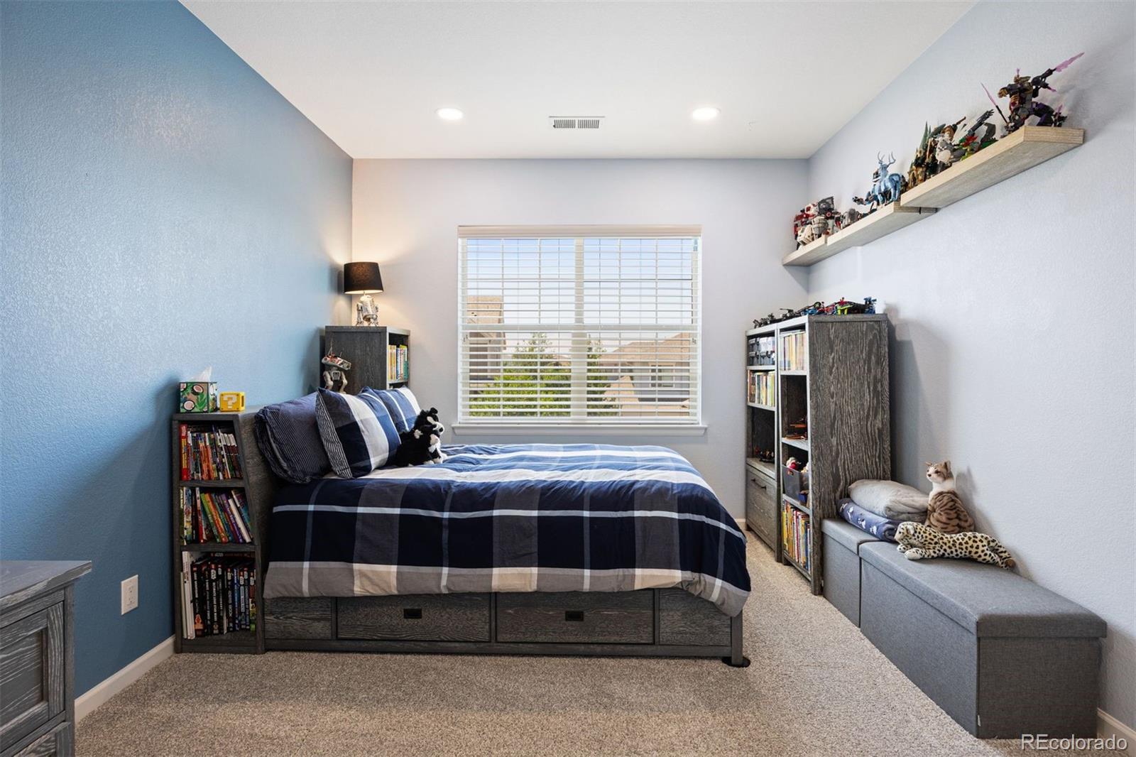 MLS Image #31 for 11958 s wanderlust way,parker, Colorado