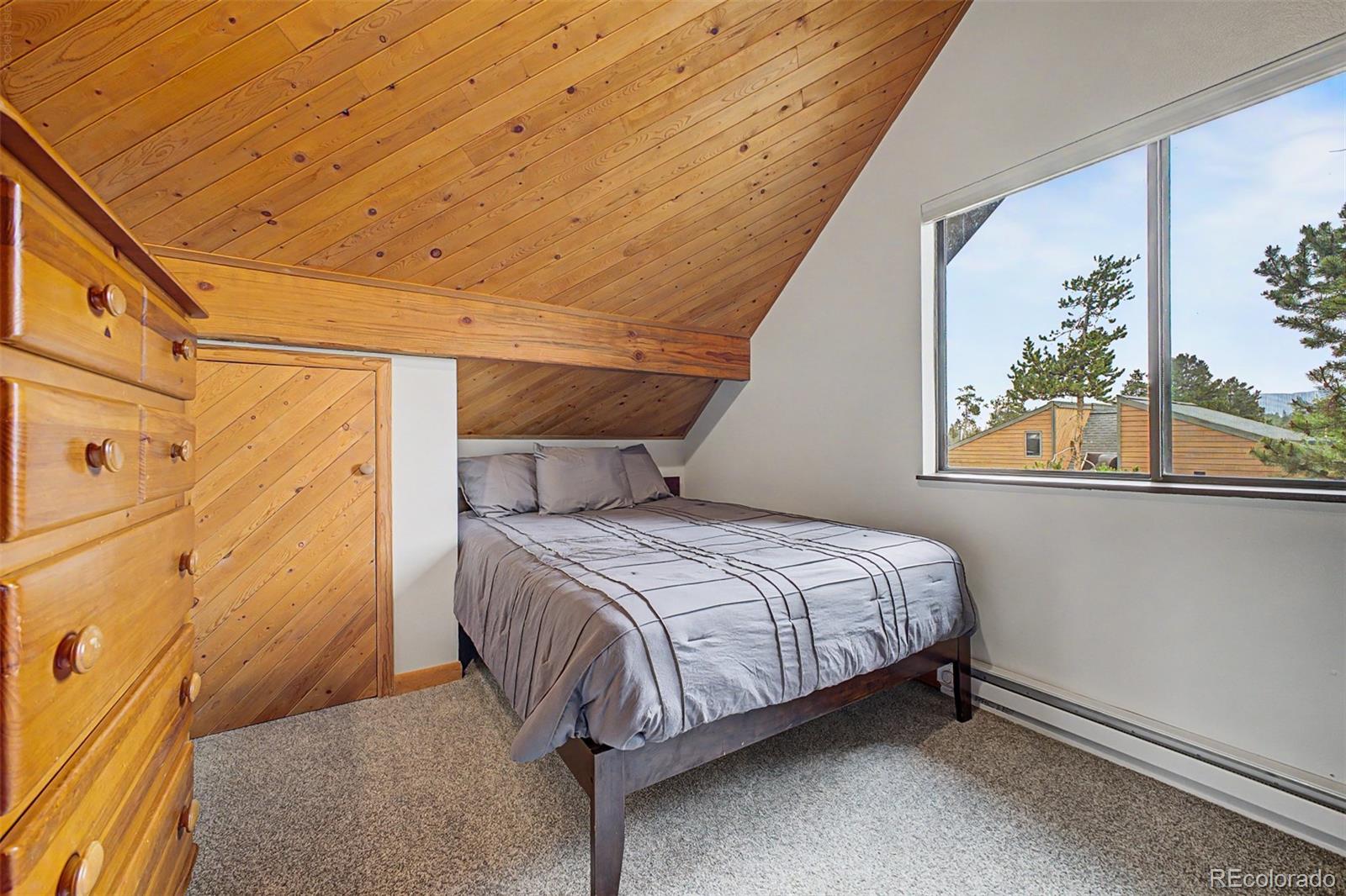 MLS Image #16 for 821  ferret lane,fraser, Colorado