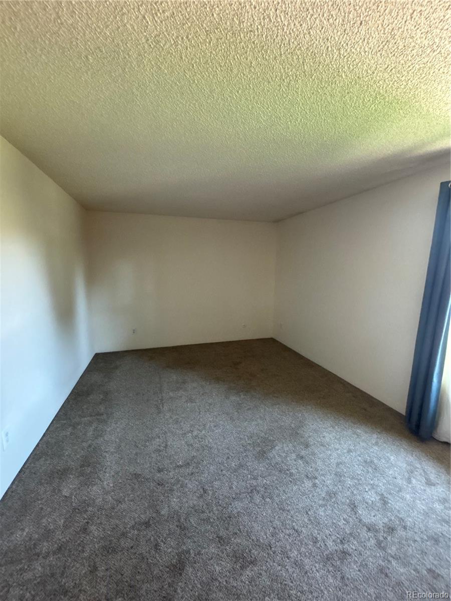 MLS Image #7 for 333  wright street,denver, Colorado