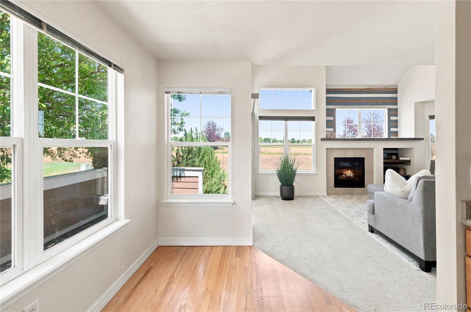 MLS Image #10 for 13279  holly street,thornton, Colorado