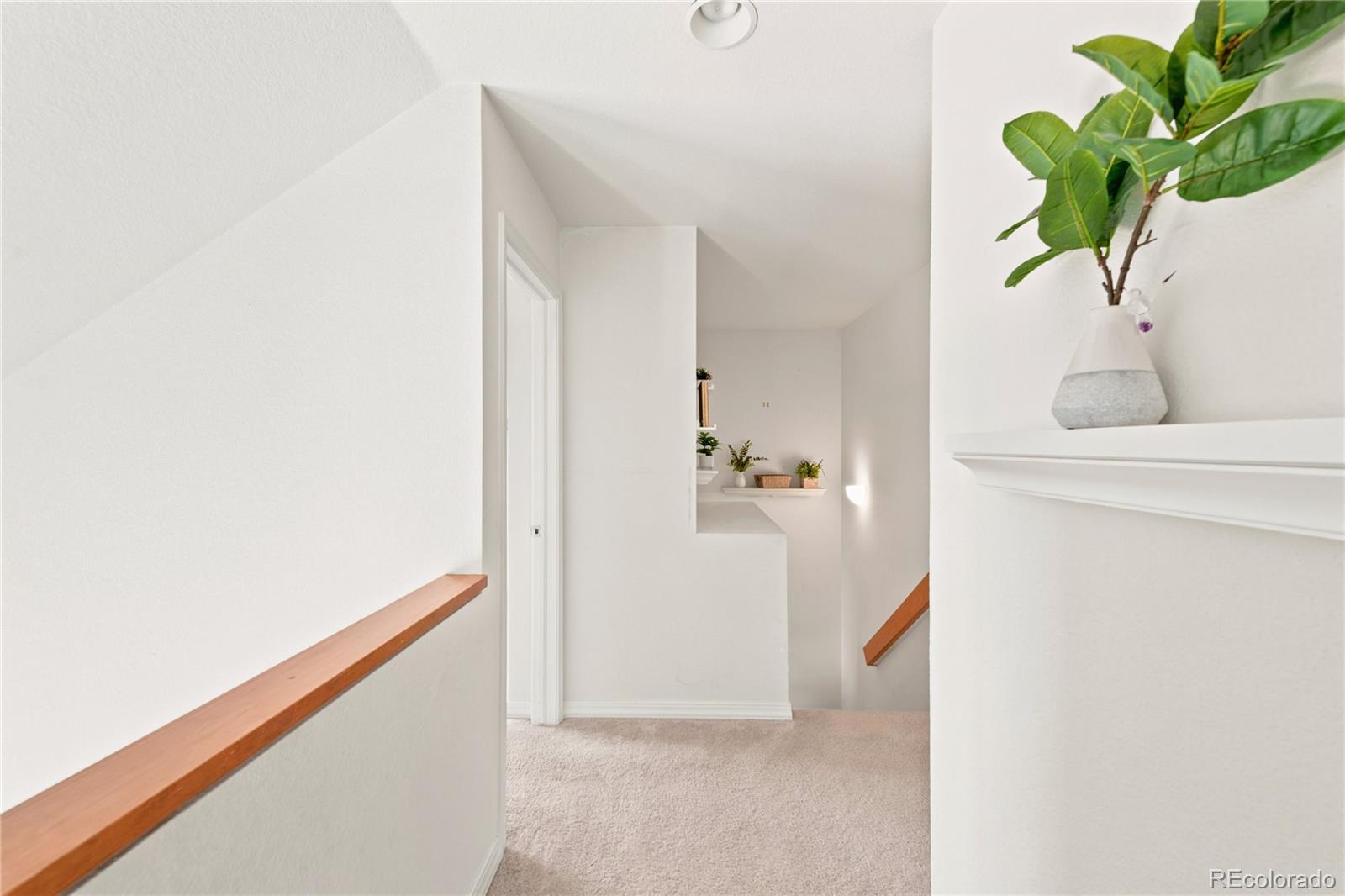 MLS Image #12 for 13279  holly street,thornton, Colorado