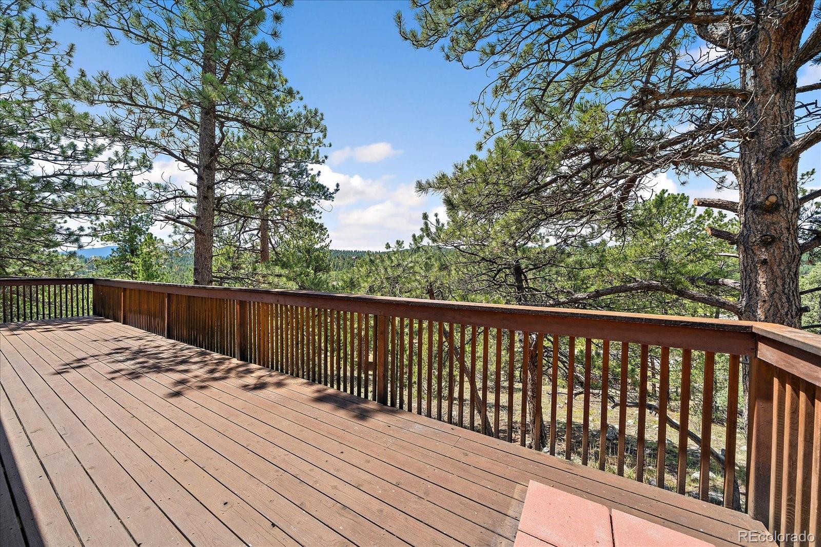 MLS Image #15 for 168  juniper lane,bailey, Colorado