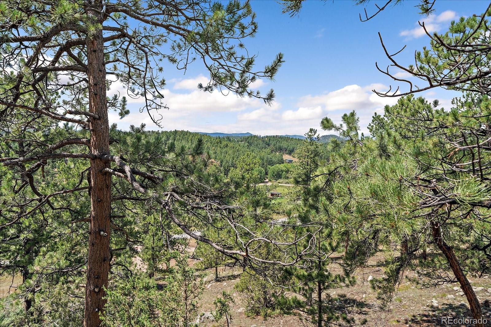 MLS Image #16 for 168  juniper lane,bailey, Colorado