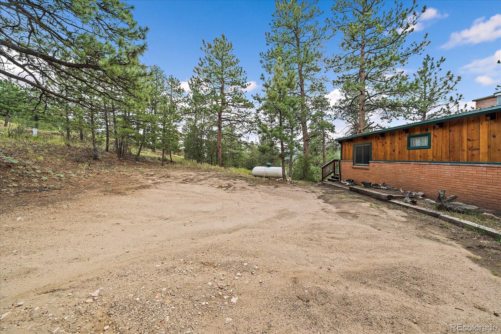 MLS Image #21 for 168  juniper lane,bailey, Colorado
