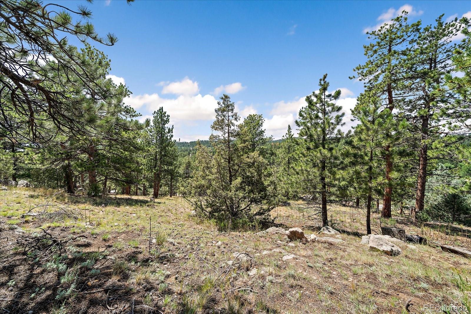 MLS Image #26 for 168  juniper lane,bailey, Colorado