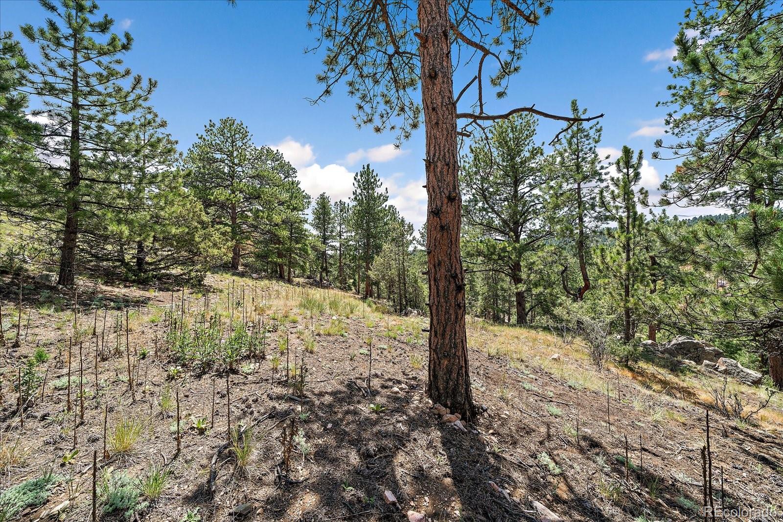 MLS Image #27 for 168  juniper lane,bailey, Colorado