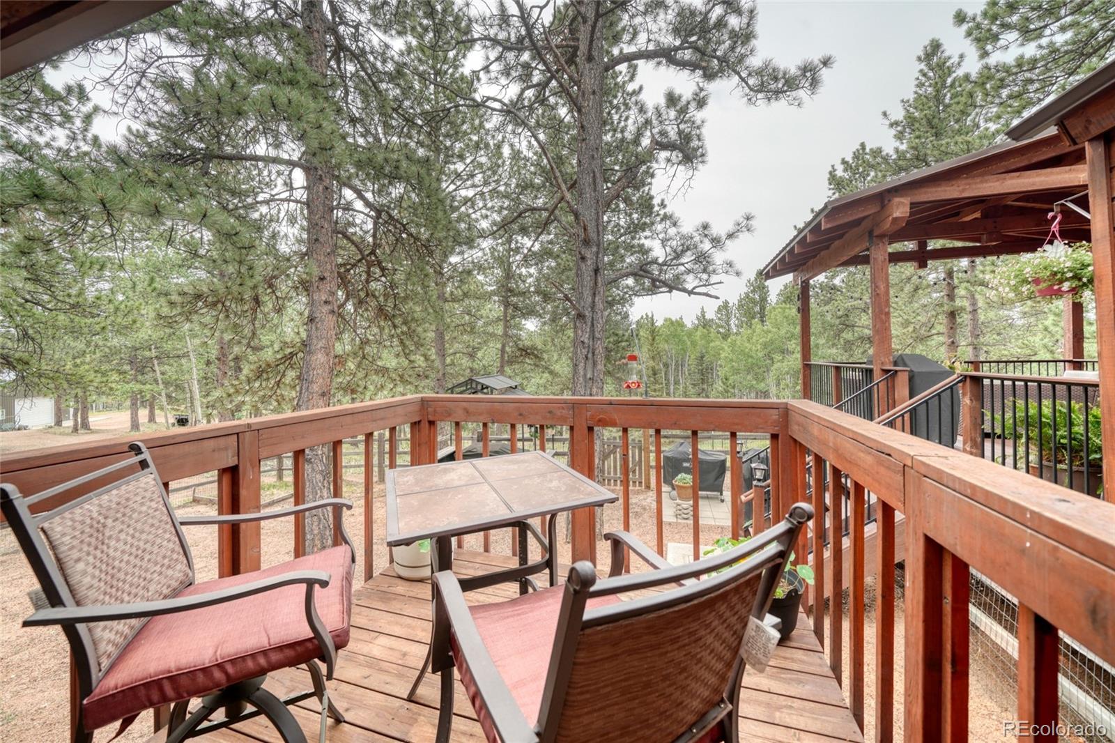 MLS Image #29 for 5544  county road 5 road,divide, Colorado