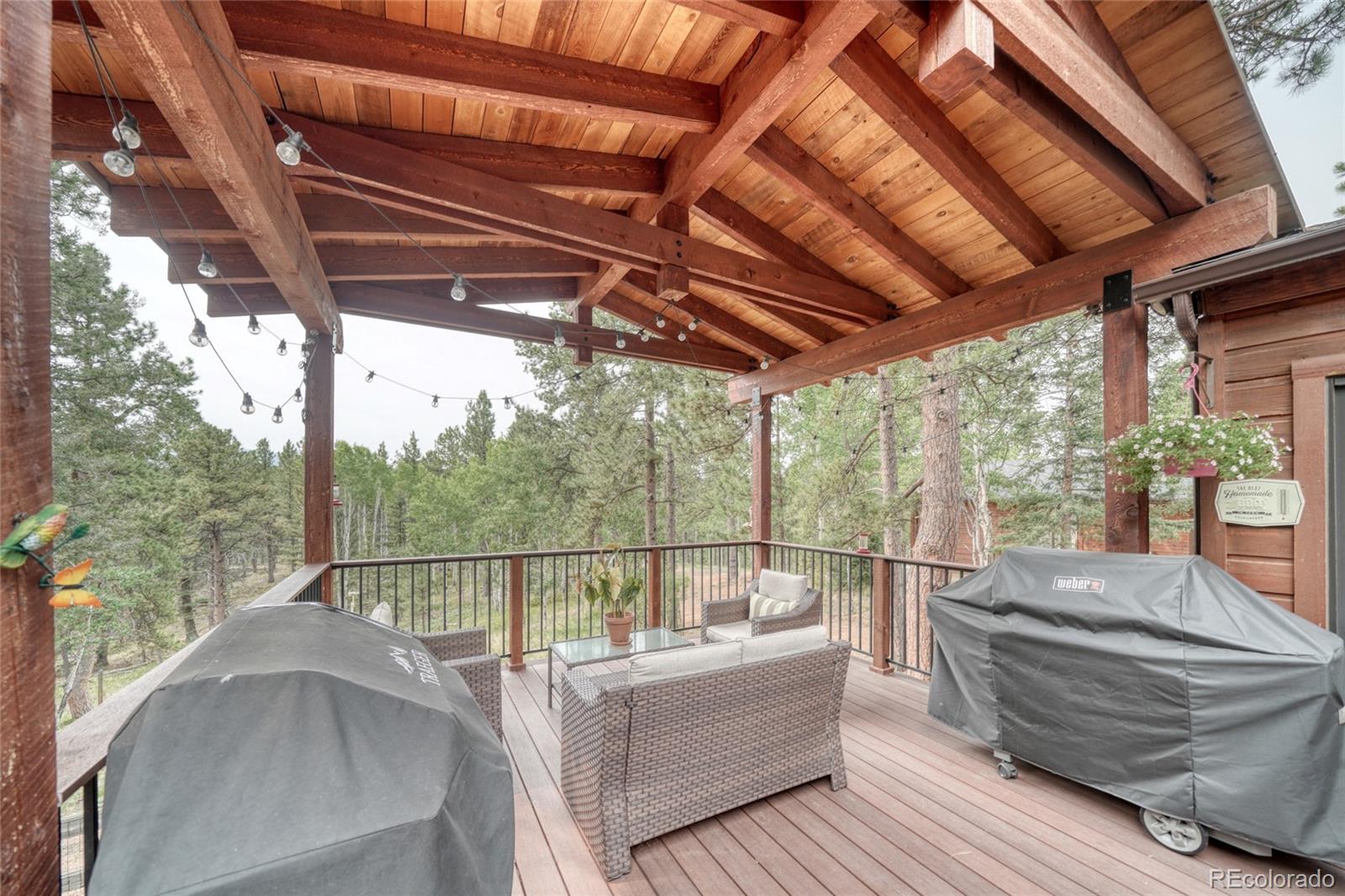 MLS Image #38 for 5544  county road 5 road,divide, Colorado