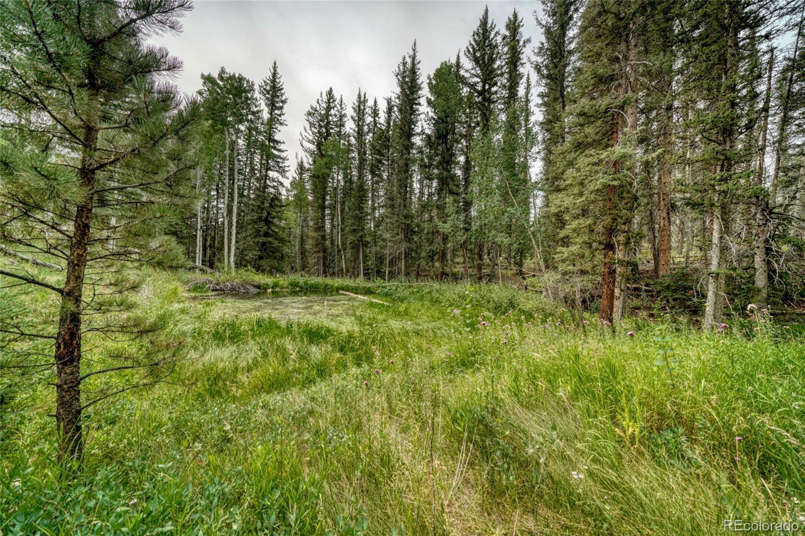 MLS Image #42 for 5544  county road 5 road,divide, Colorado
