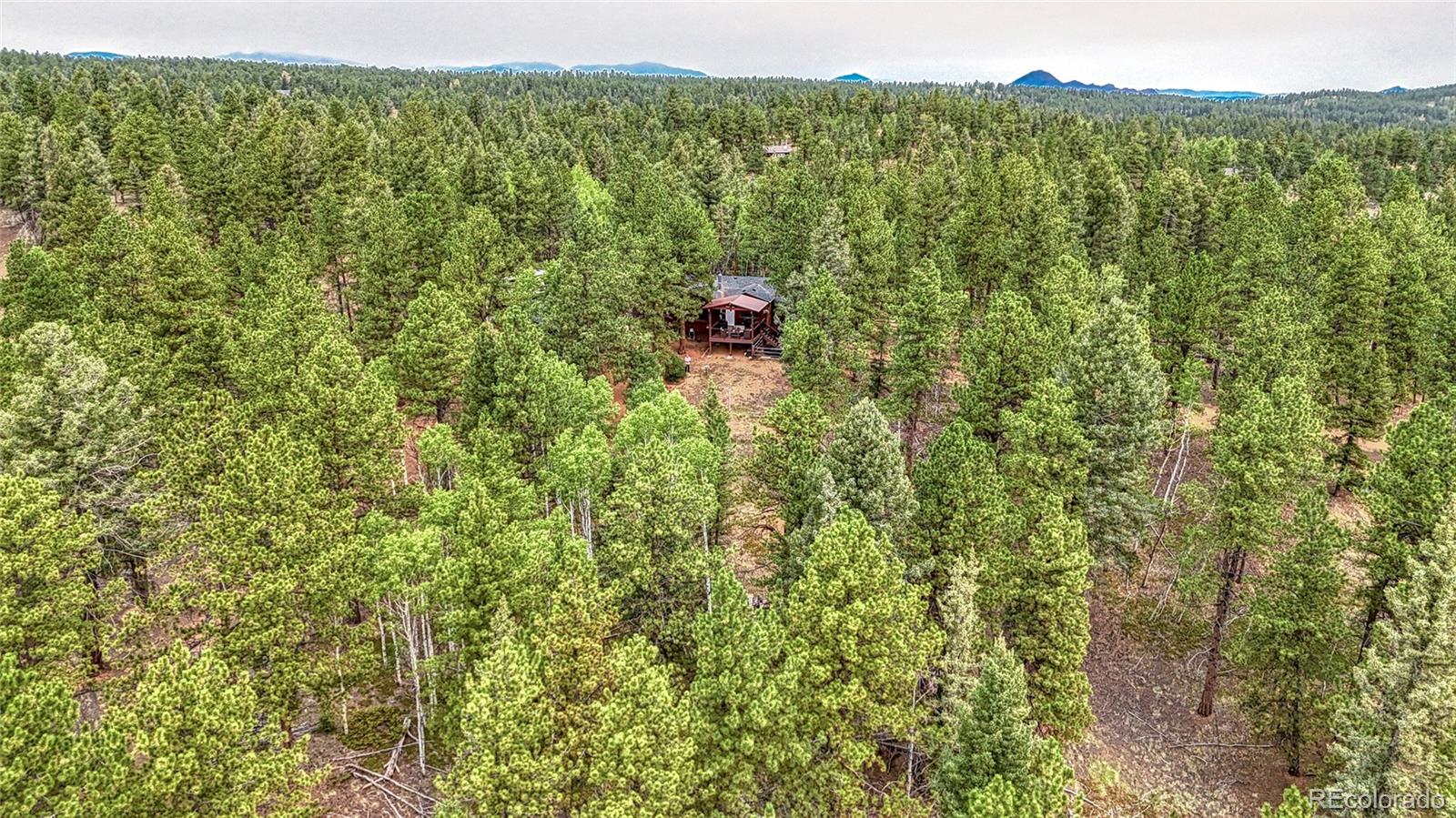 MLS Image #44 for 5544  county road 5 road,divide, Colorado