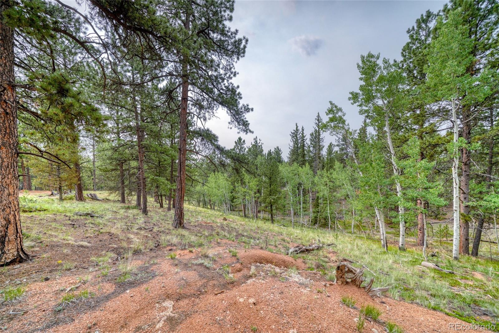 MLS Image #47 for 5544  county road 5 road,divide, Colorado