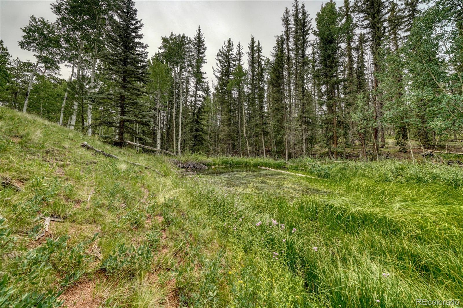 MLS Image #48 for 5544  county road 5 road,divide, Colorado