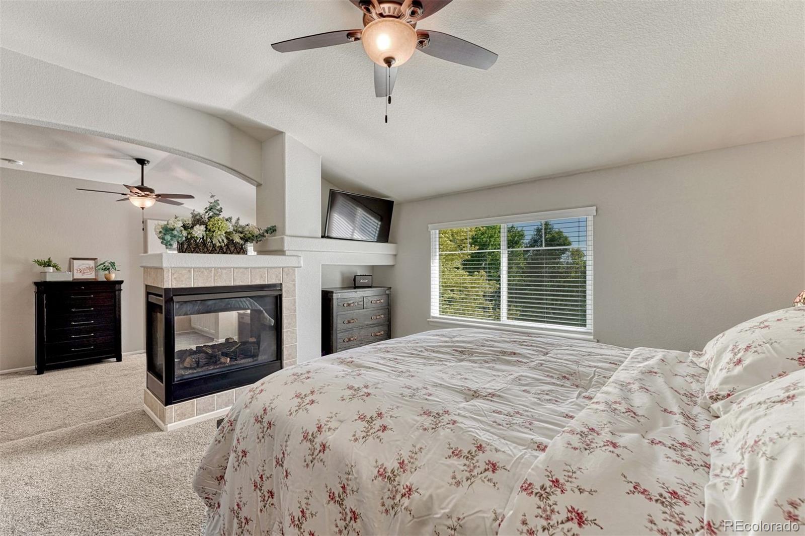 MLS Image #17 for 9832  amber rock drive,parker, Colorado