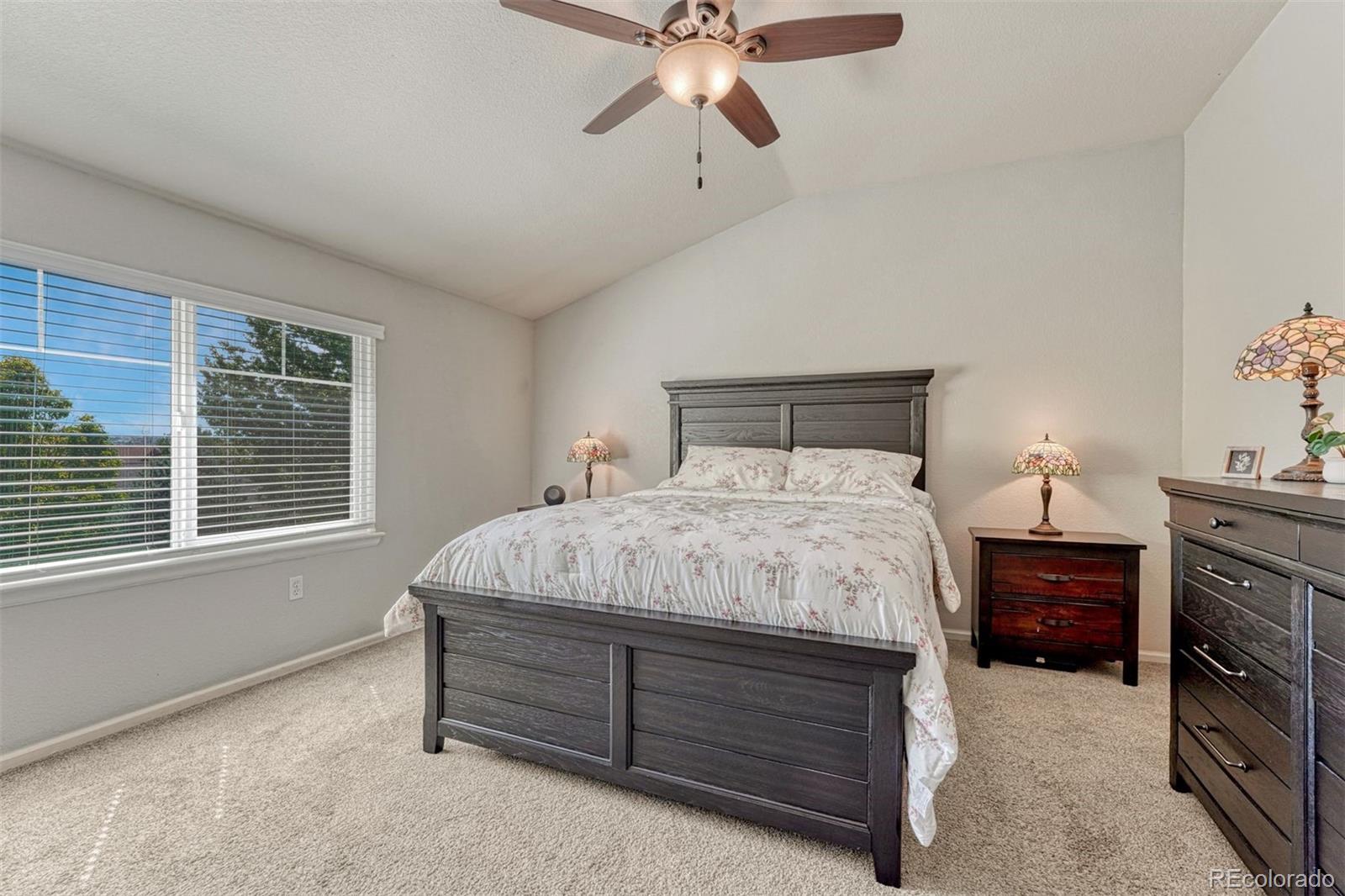 MLS Image #18 for 9832  amber rock drive,parker, Colorado