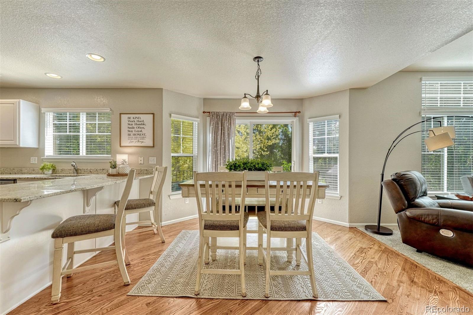 MLS Image #5 for 9832  amber rock drive,parker, Colorado