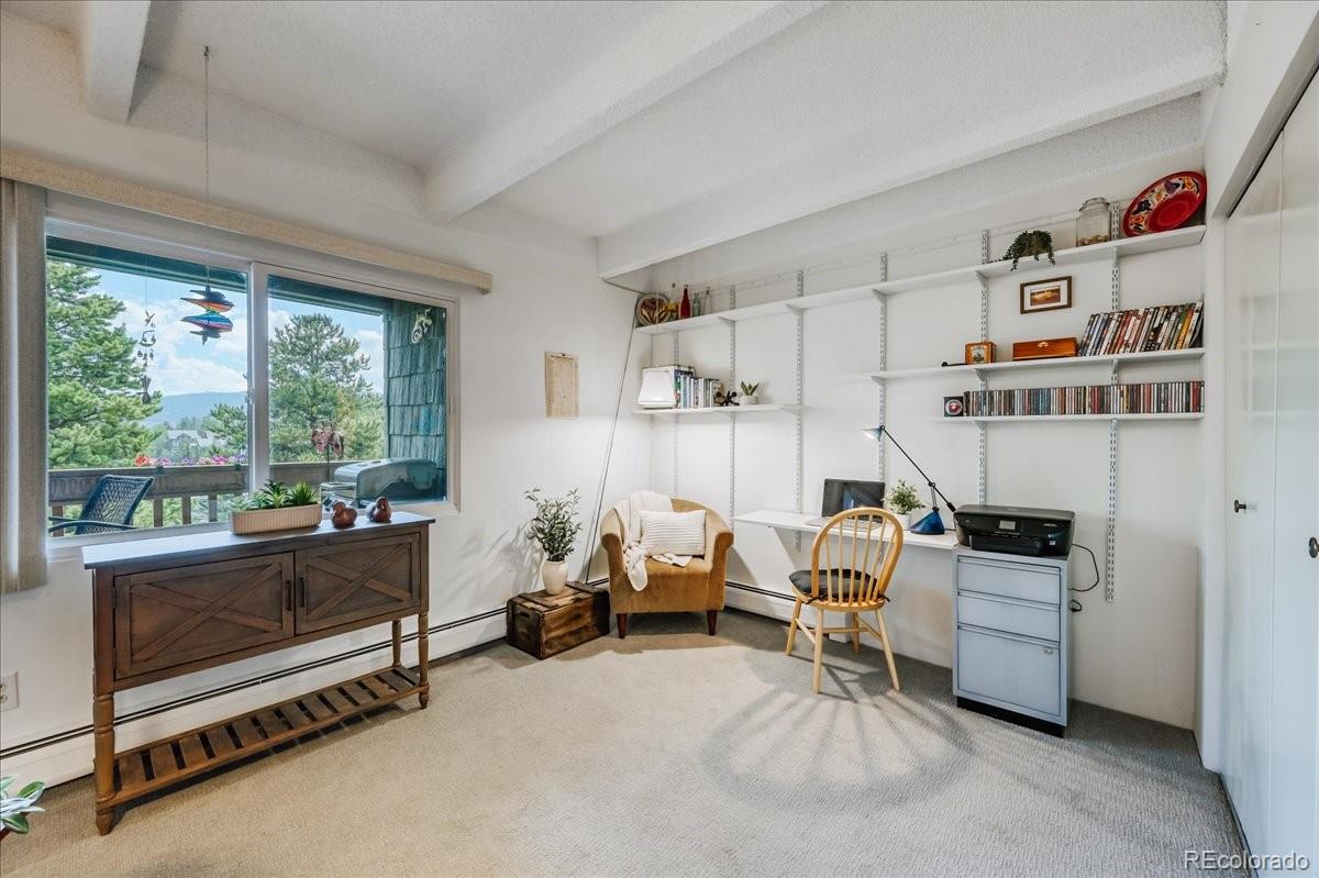 MLS Image #10 for 200  granite street,frisco, Colorado