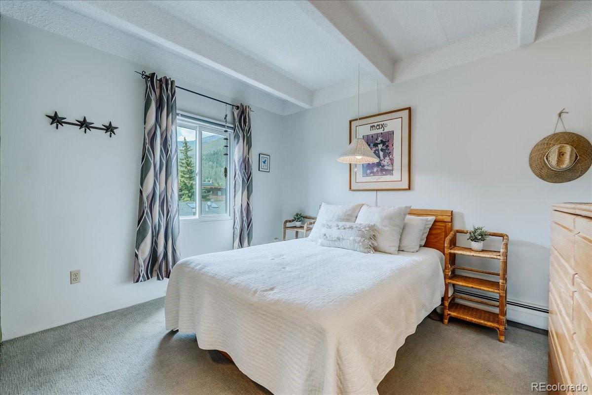 MLS Image #12 for 200  granite street,frisco, Colorado