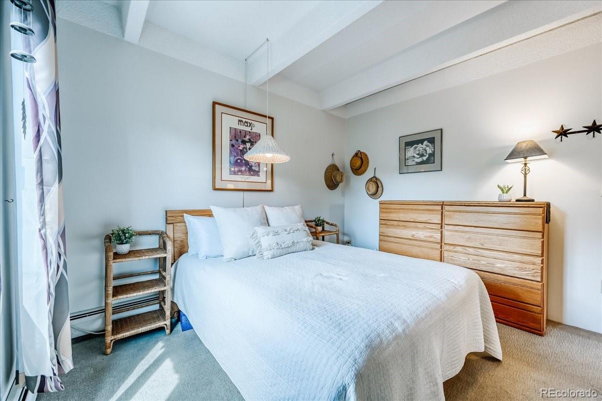 MLS Image #13 for 200  granite street,frisco, Colorado