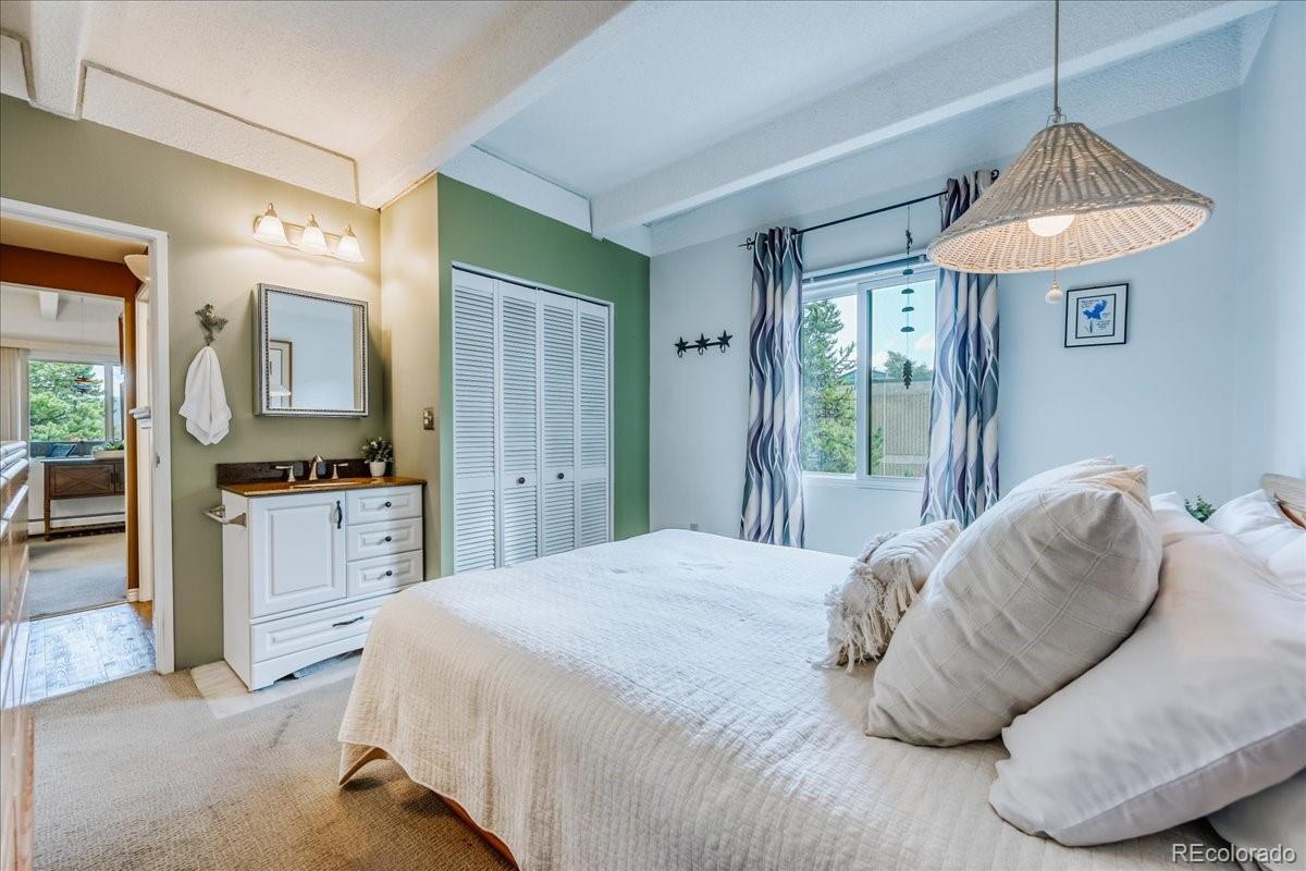 MLS Image #14 for 200  granite street,frisco, Colorado