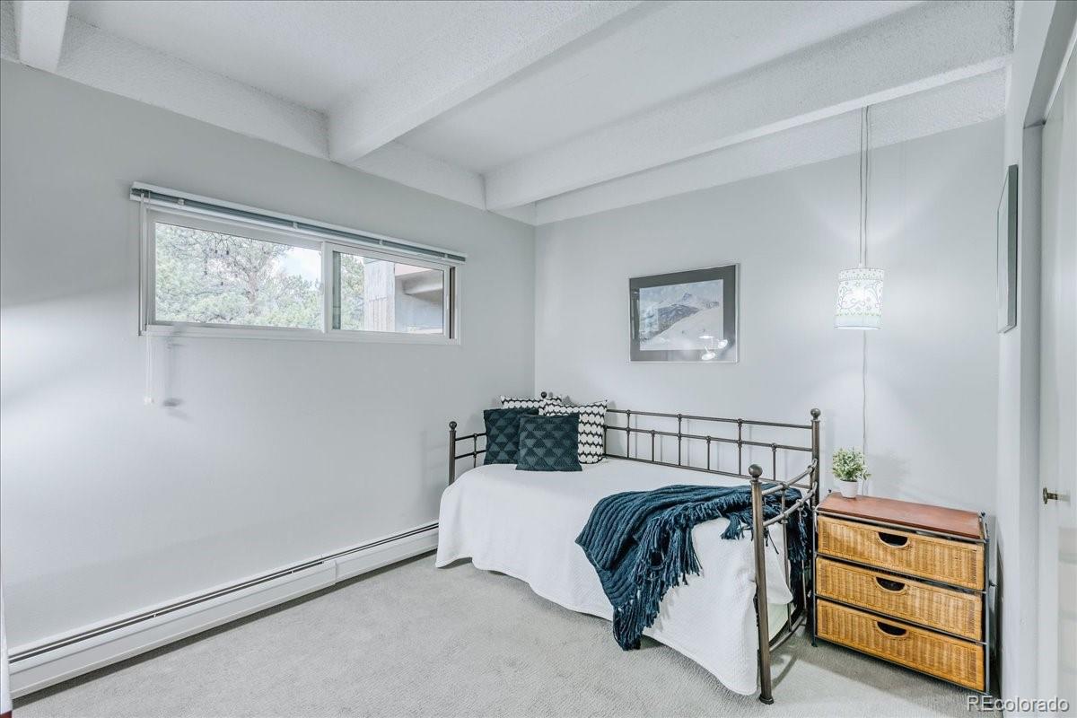 MLS Image #16 for 200  granite street,frisco, Colorado