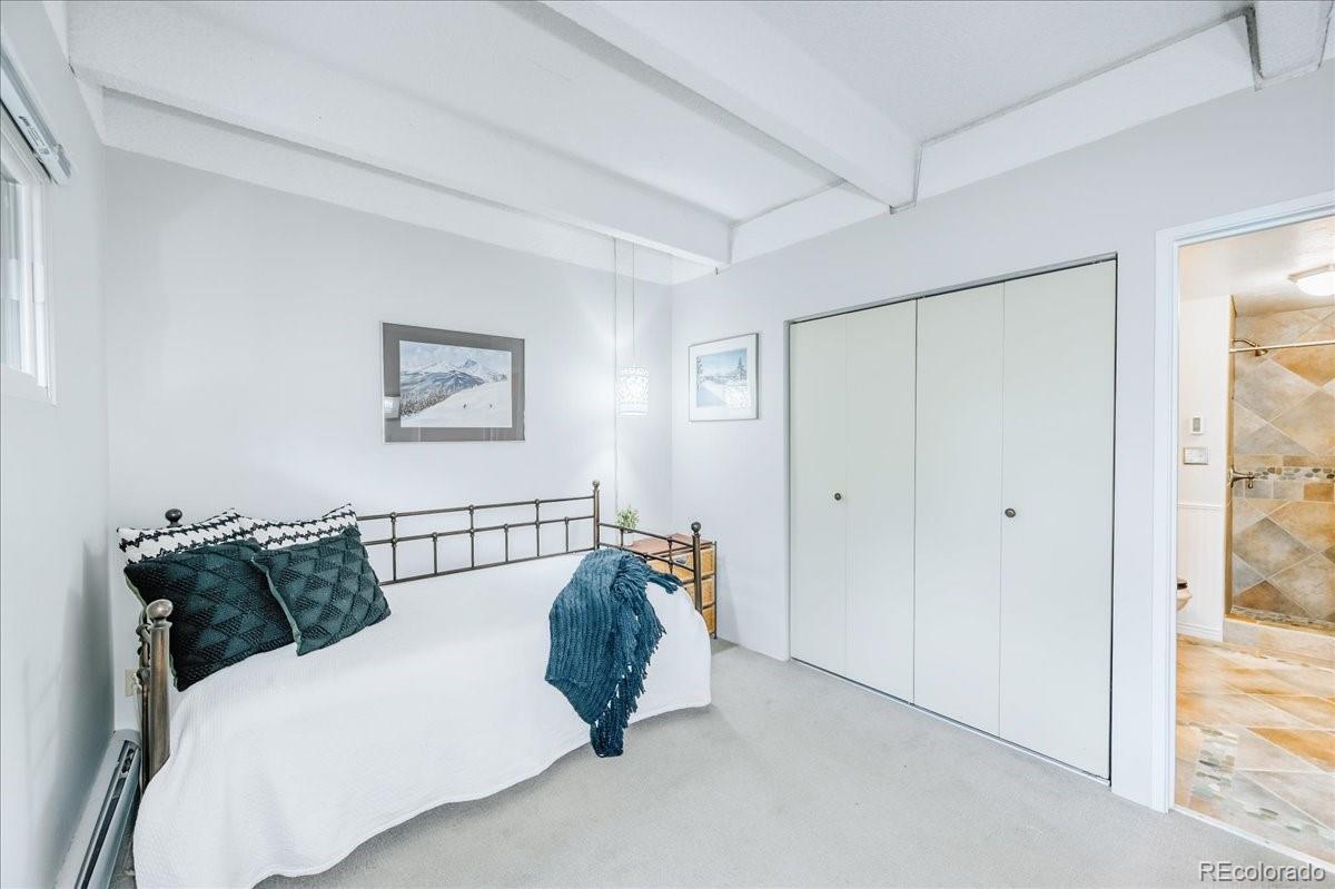 MLS Image #17 for 200  granite street,frisco, Colorado