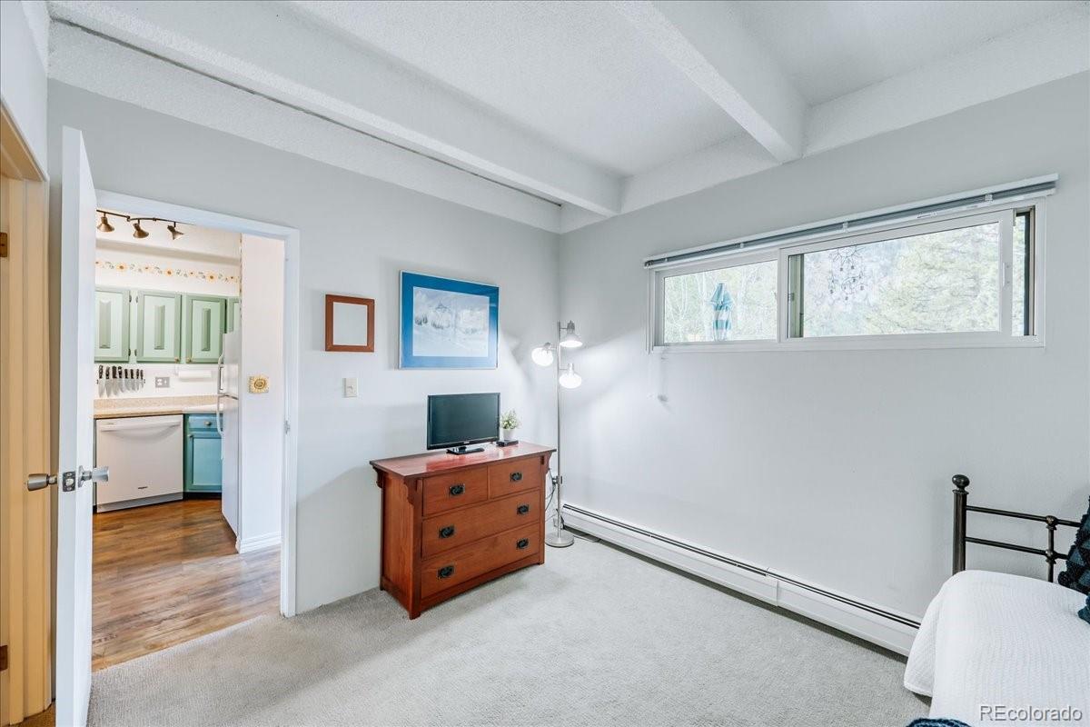 MLS Image #18 for 200  granite street,frisco, Colorado