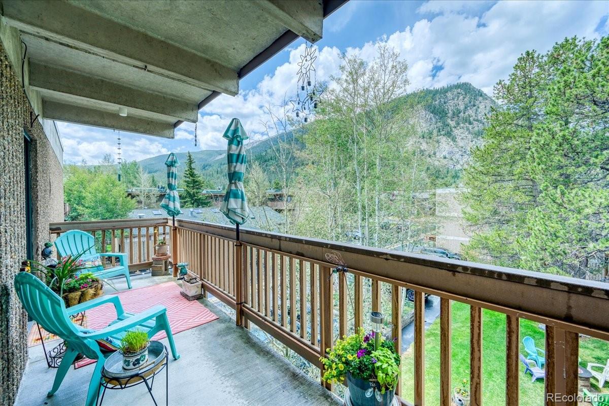MLS Image #20 for 200  granite street,frisco, Colorado