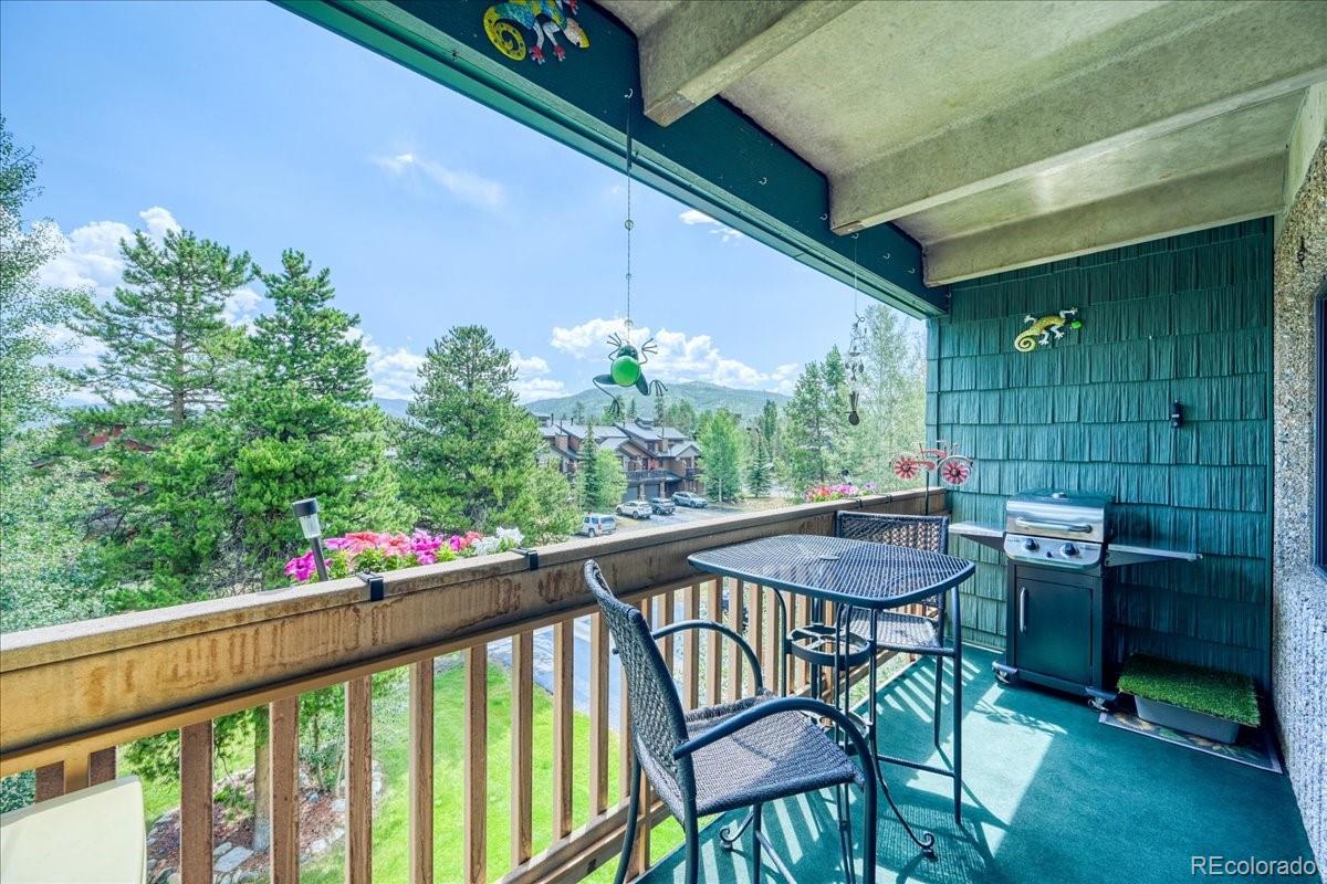 MLS Image #21 for 200  granite street,frisco, Colorado
