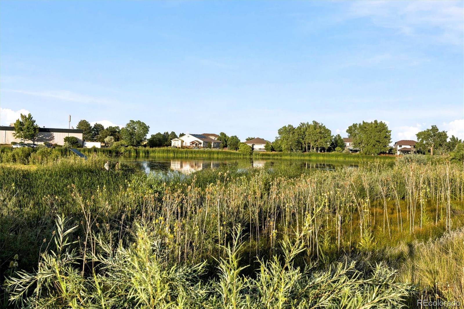MLS Image #31 for 6223  kilmer loop,golden, Colorado