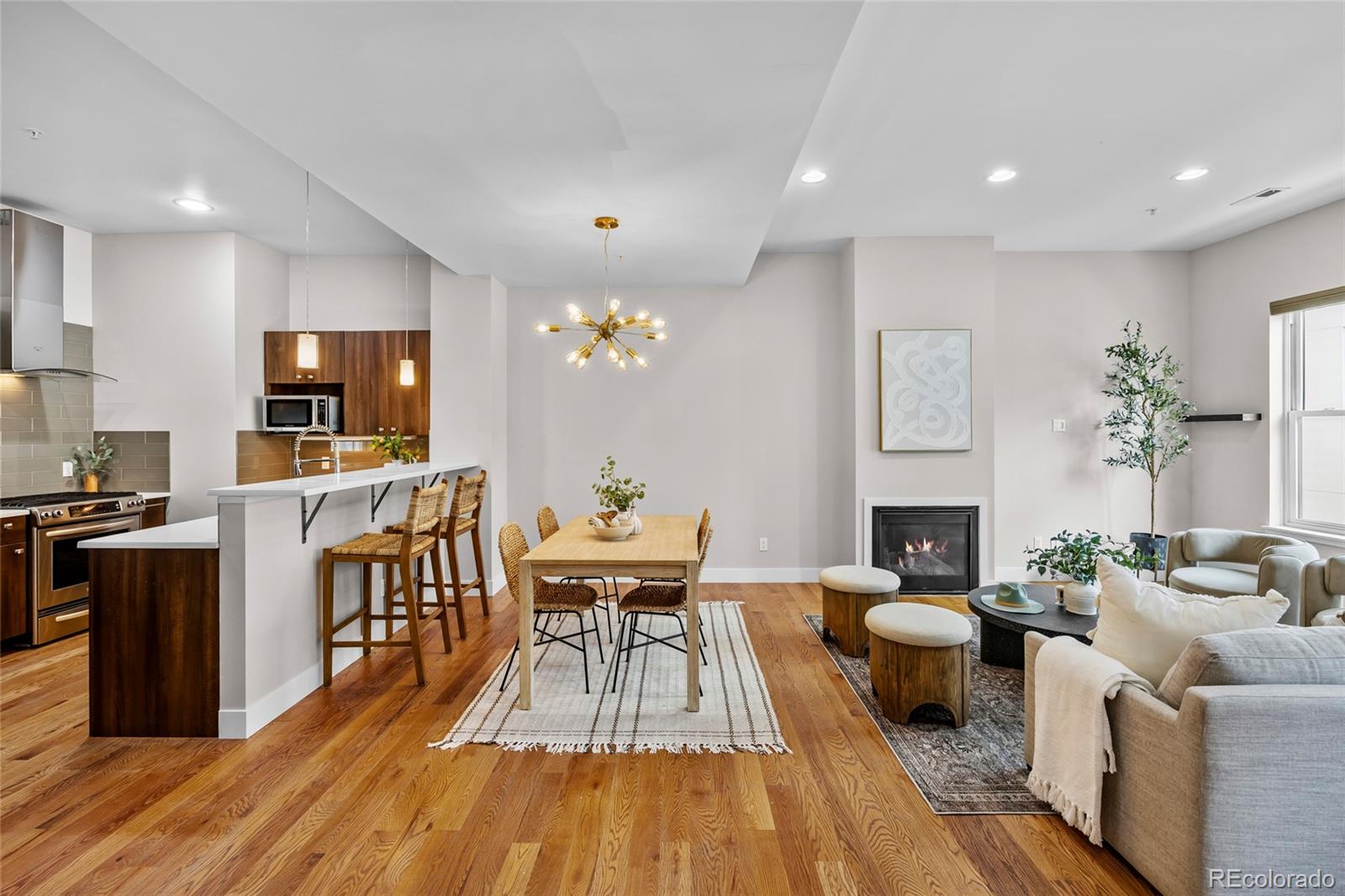 MLS Image #2 for 1820  julian street,denver, Colorado