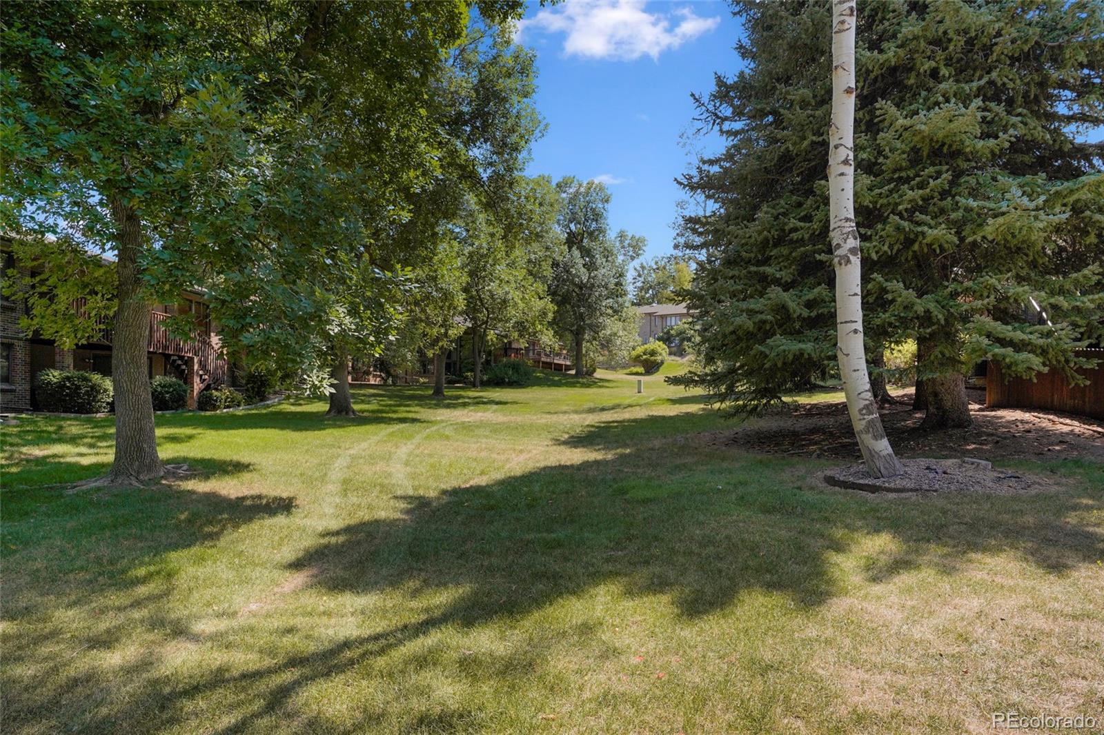MLS Image #37 for 2615  oak drive,lakewood, Colorado
