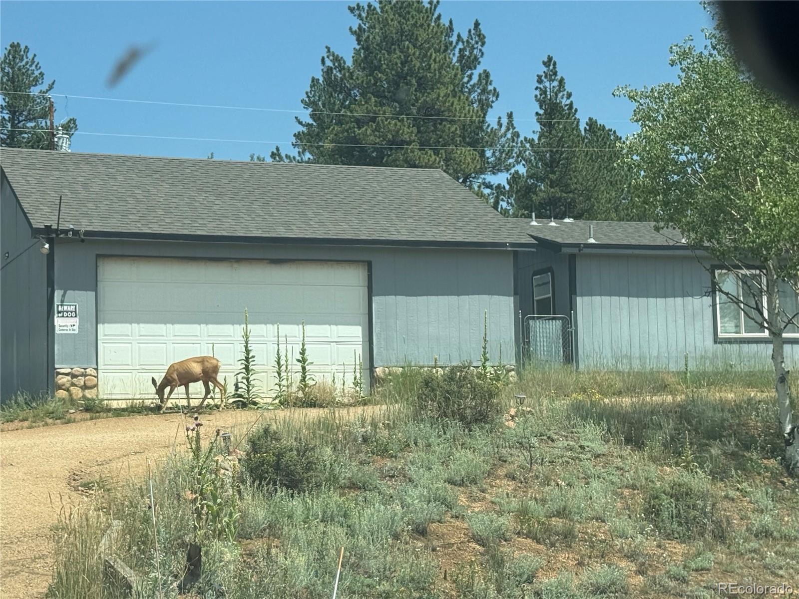 MLS Image #17 for 364  stage coach drive,bailey, Colorado