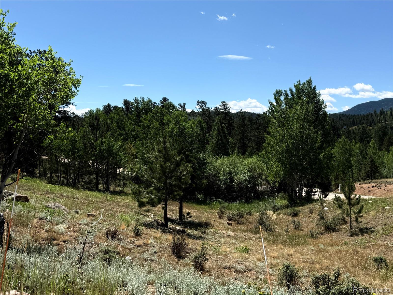 MLS Image #23 for 364  stage coach drive,bailey, Colorado