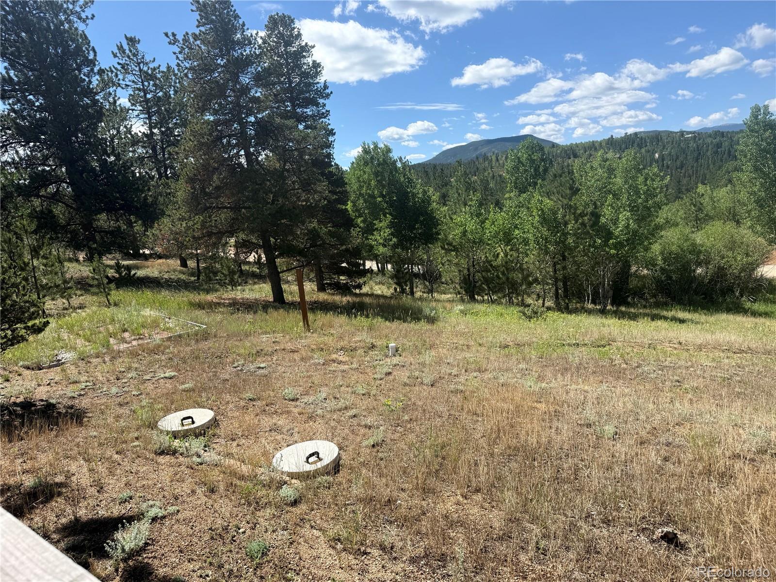MLS Image #28 for 364  stage coach drive,bailey, Colorado