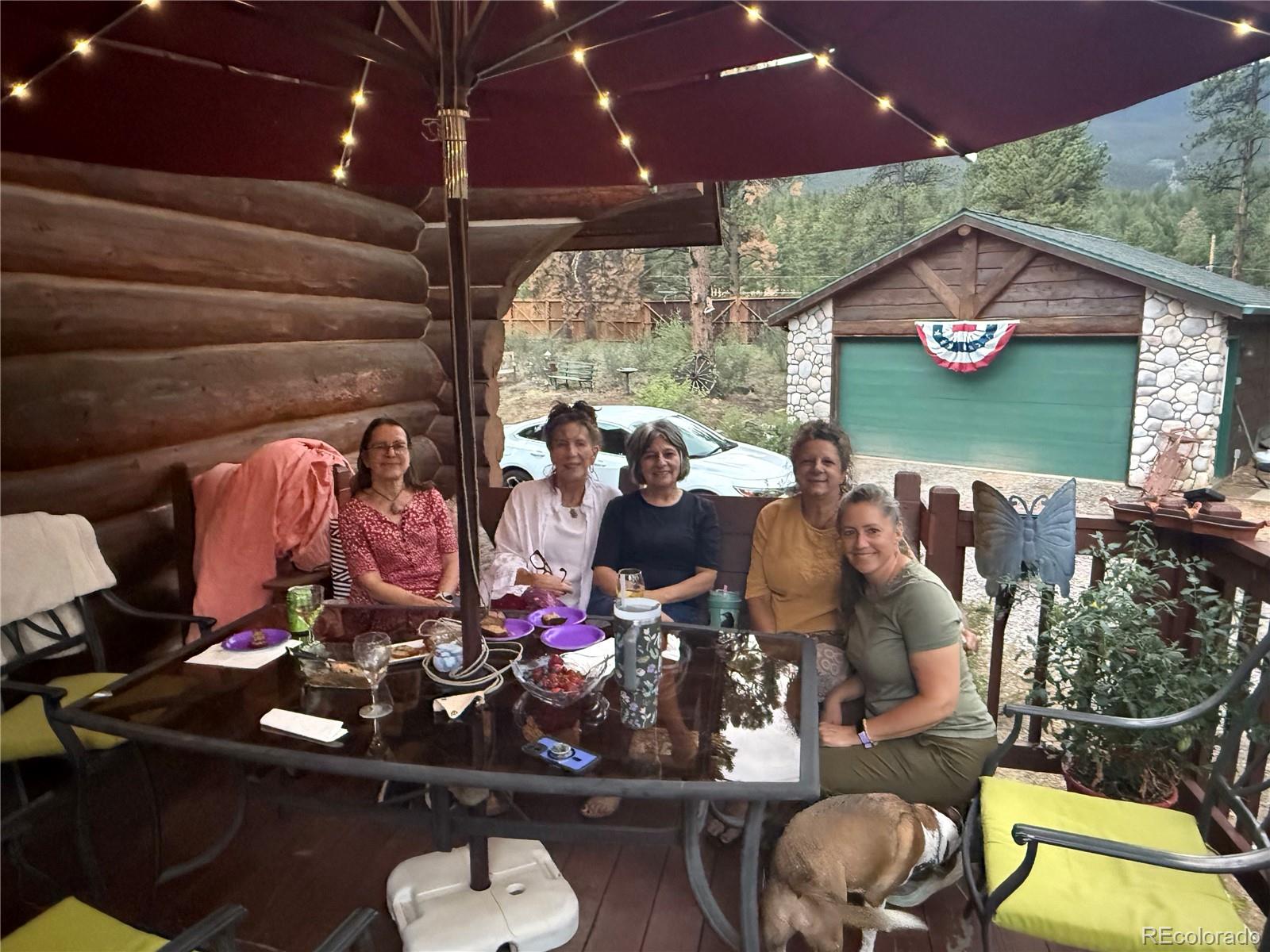 MLS Image #36 for 364  stage coach drive,bailey, Colorado