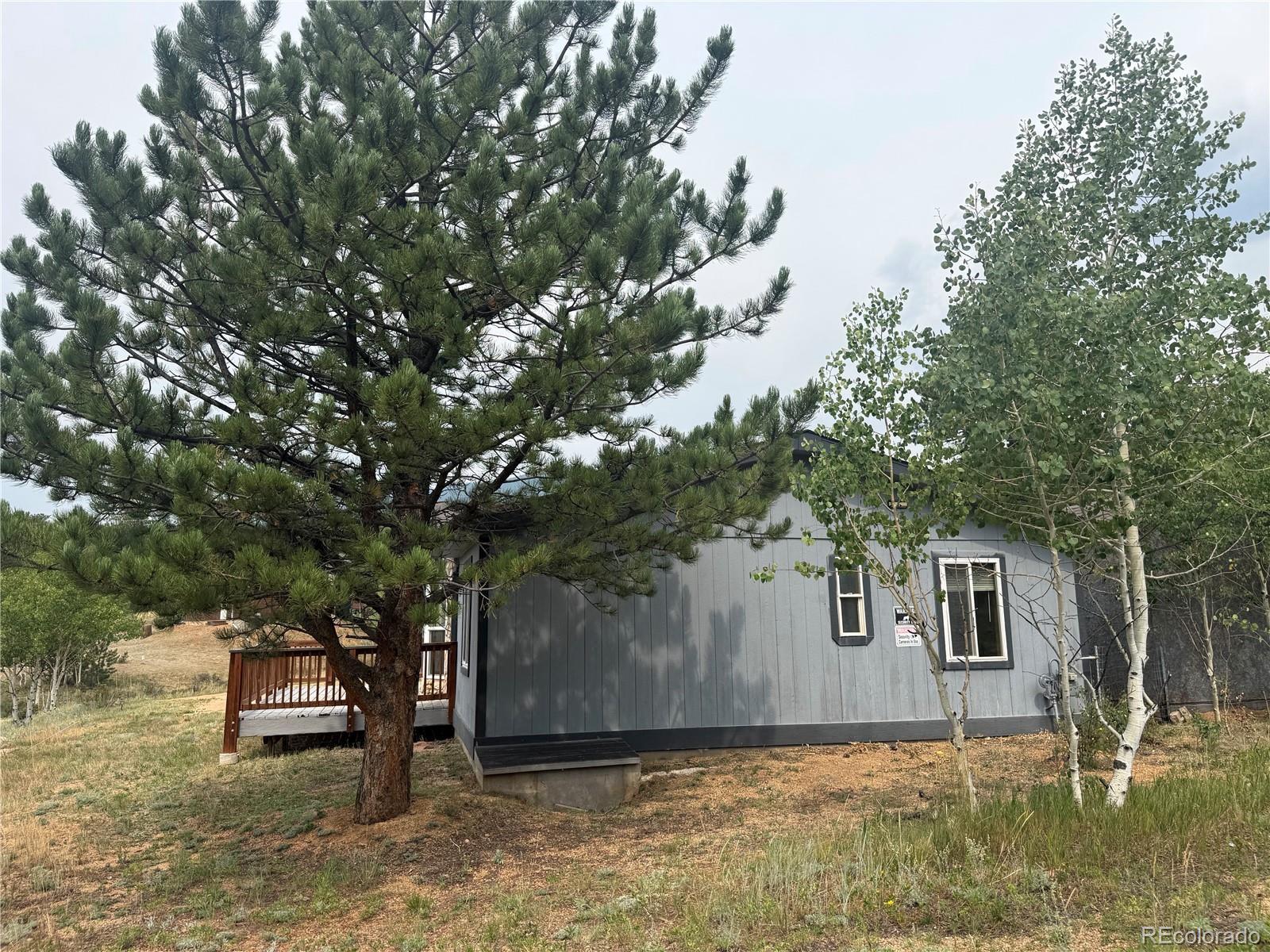 MLS Image #38 for 364  stage coach drive,bailey, Colorado