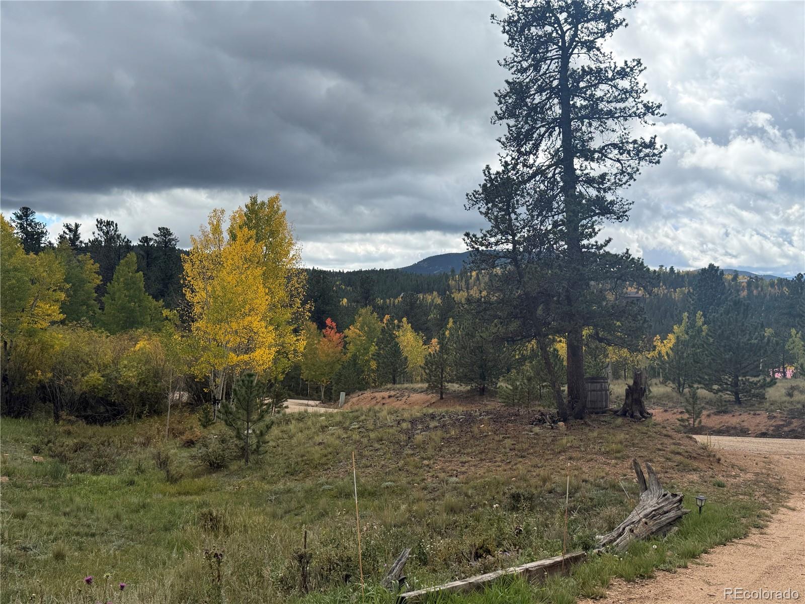 MLS Image #45 for 364  stage coach drive,bailey, Colorado