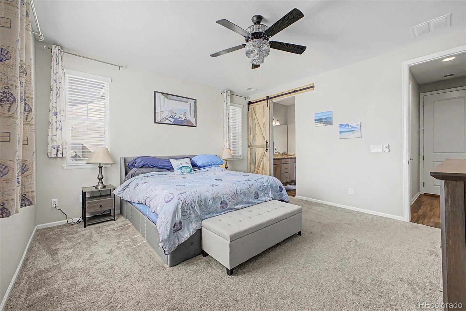 MLS Image #18 for 10446  akron street,henderson, Colorado