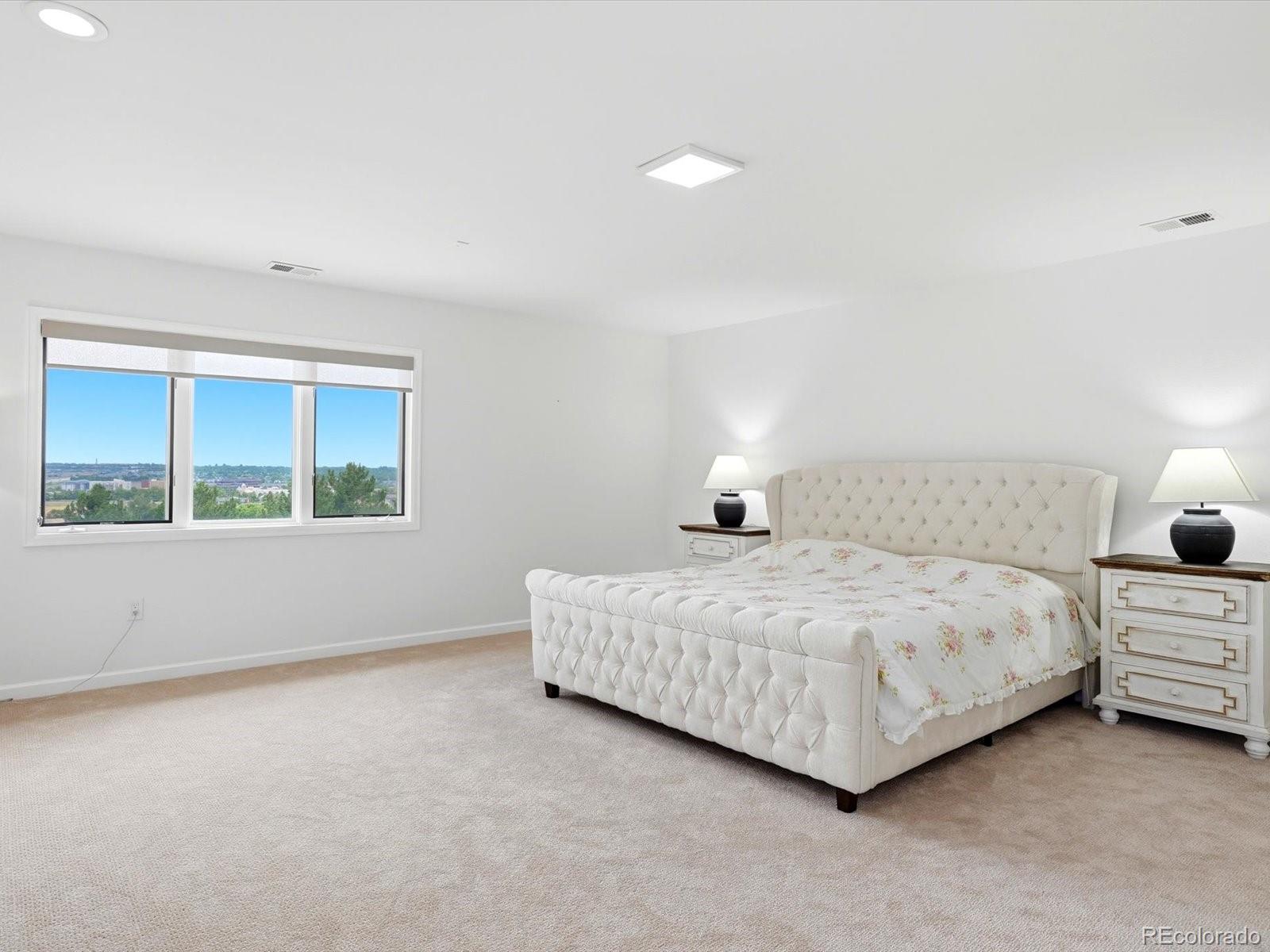 MLS Image #25 for 10954  allison court,broomfield, Colorado