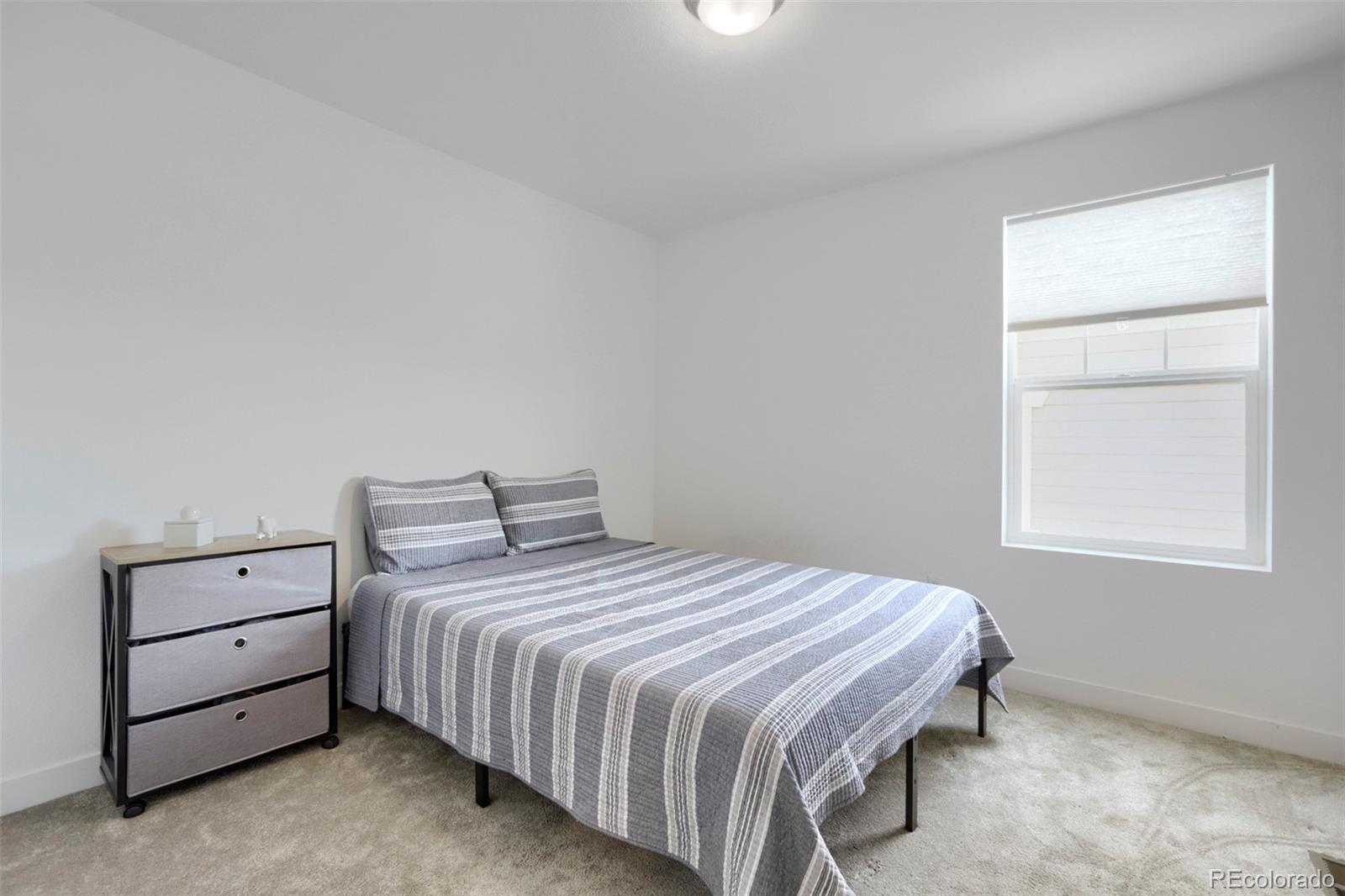 MLS Image #10 for 5581  tamarack avenue,longmont, Colorado